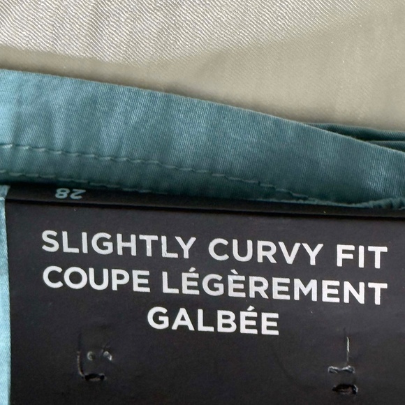 PANTS, SLIGHTLY CURVY FIT, CAMEO BLUE, SIZE 28, LOVE & LEGEND, ADDITION ELLE, - Picture 2 of 6